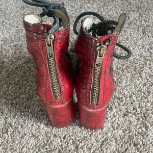 Freebird by Steven Joyce